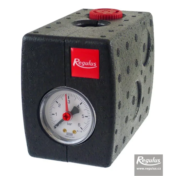 Regulus sikkerhetssett for ekspansjonstank over 35 liter | 3 bar